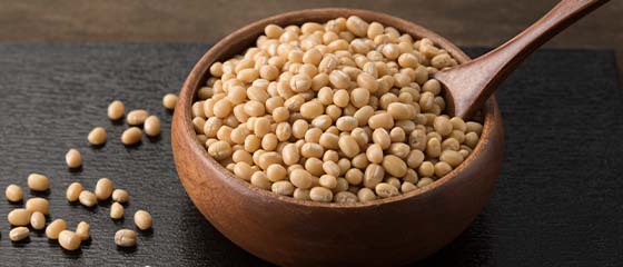 本家菊屋のこだわり食材